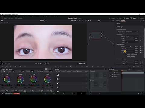 DaVinci Resolve: 5.24 | G&uuml;zellik Fx Filtresi