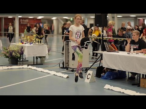 Forhåndsvisningsbillede: Hobbyhorse: Hvad er det?