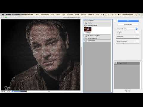 Photoshop Elements: 11.1 | Filtre Galerisi: Genel Bakış