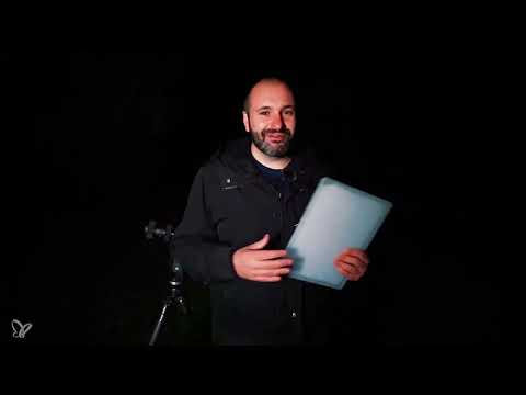 Fotografía nocturna: técnica, motivos y práctica: 4.3 Luz viajera con colores