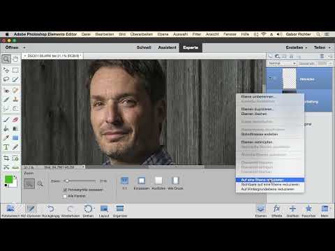 Photoshop Elements: 13.2 | Portre