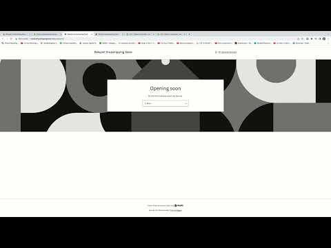 E-handelskurs: 5.10 | Shopify - gjør nytt domene til primært domene