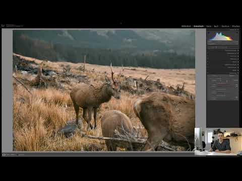 Lightroom Classic CC Tutorial: 4.17 | Calibration