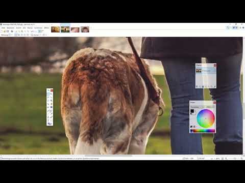 Paint.NET eğitimi: 5.3 | Damgalama ve Klonlama