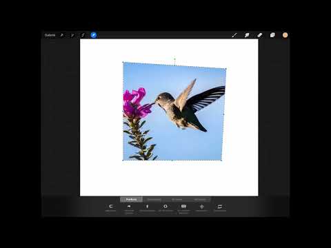 Procreate tutorial - Basics of digital drawing on the iPad: 4.2 | Transformation