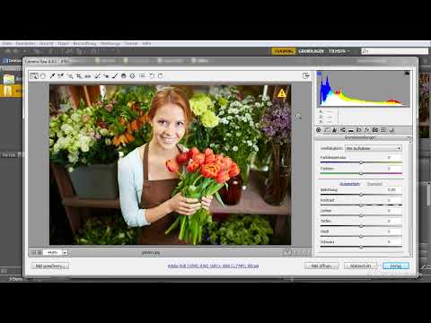 After Effects için yeni başlayanlar: Adobe Bridge'in açıklaması