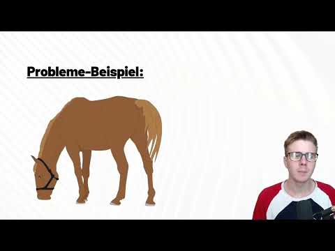 Affiliate-marknadsföring: 15.1 | Din uppgift - Identifiera och lösa problem