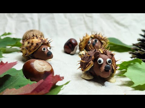 Vorschaubild: Kastanien basteln: Top 5 kreative Herbst-Ideen für Kinder