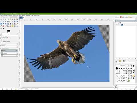 GIMP ile görüntü düzenleme: yeni başlayanlar için rehber - 27 Makas Aracı