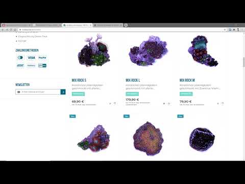 User Experience & Customer Journey: 07 | Buttons and Call-to-Action