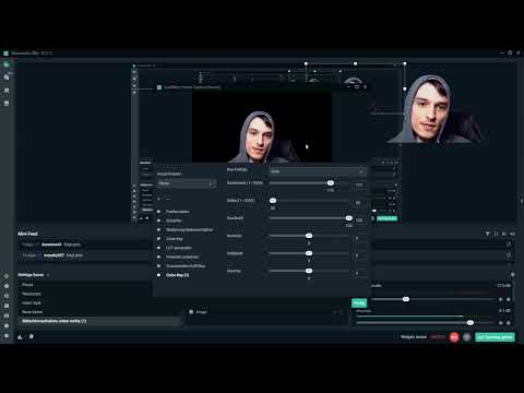 Streamlabs: 8.4 | Greenscreen einstellen