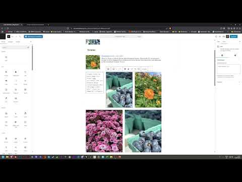 21 - Qu'est-ce qu'un constructeur de pages (Gutenberg)