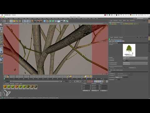 Laubatyökalupaketti Cinema 4D: Laubwerk-kasvien paketit – 02 Lisäasetukset