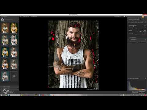 Nik Collection - Looks, Styles & Effects con Analog Efex Pro 2: 21 Histograma