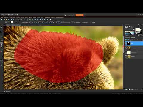 Corel PaintShop Pro Eğitimi: 3.1 | Seçimler Yapma (Bölüm bir)