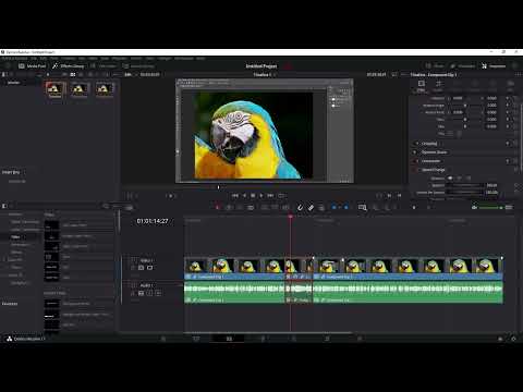DaVinci Resolve: 5.7 | Klib - Ses hızını ayarla