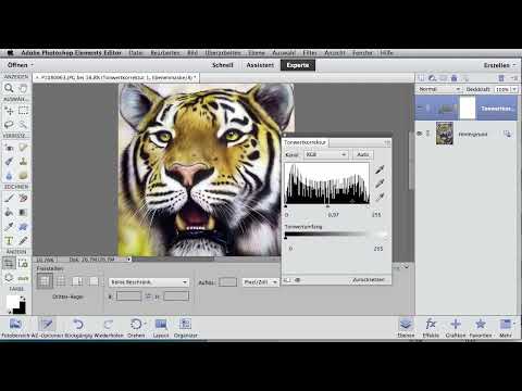 Digital image editing for airbrush artists: First aid - tone value correction and the stamp tool