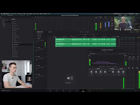 DaVinci Resolve-tutorial: 5.3 | Fjern støj