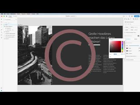 Adobe XD: 08 | Importación de Activos