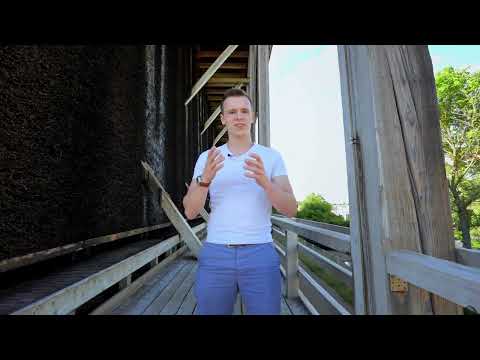Videografikurs: 6,6 | Autofokus eller manuell fokus?