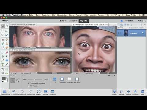 Photoshop Elements: 3.3 | Çalışma Alanı- Çoklu Resimler