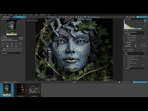 DxO PhotoLab Tutorial: 3.5 | Contrast
