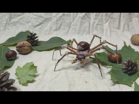 Image d&rsquo;aper&ccedil;u : Araign&eacute;e en ch&acirc;taignes : bricolage automnal pour enfants