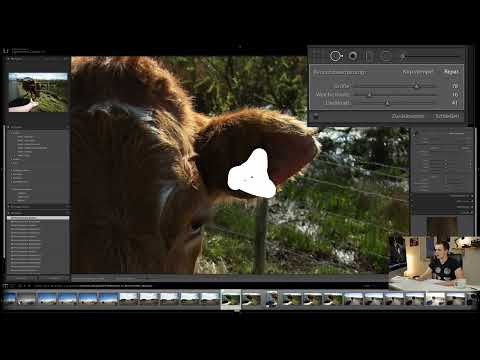 Lightroom Classic CC Tutorial: 5.3 | Retouching