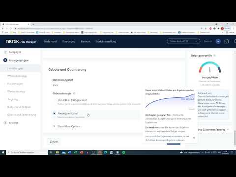 TikTok Ads Manager: 3.6 | Bid Settings