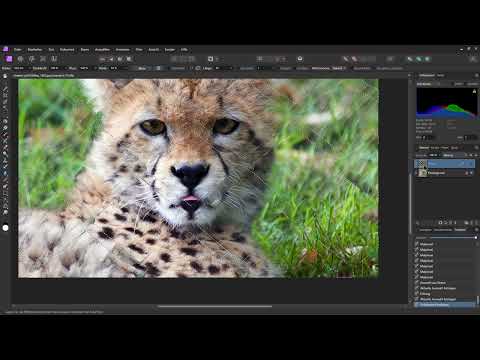 Affinity Photo (Best-of-Hacks): 01 | Nesneleri hızlı ve kolay bir şekilde çıkarmak