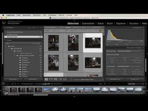Lightroom için yeni başlayanlar ve deneyimliler: 03 - Kontrollerin Genel Bakışı - 3.1 - Kütüphane