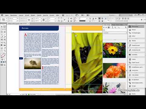 Placer, adapter et colorier des images dans InDesign