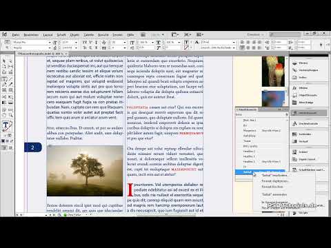 Formats de caractères et de lignes dans InDesign