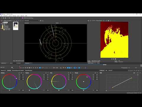 Nyt i MAGIX VEGAS Pro 19: 08 | Color Grading-panel