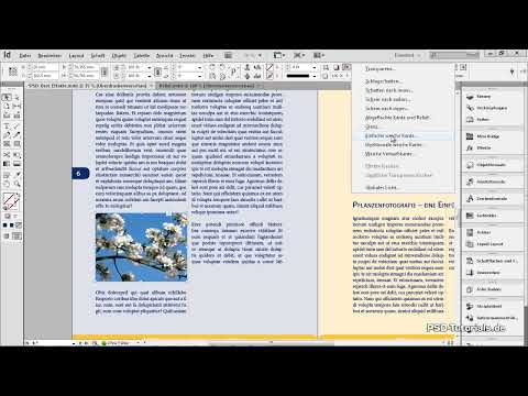 Appliquer des effets aux objets dans InDesign