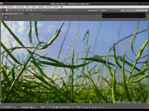 After Effects - Grunder: Allmän översikt, Användargränssnitt