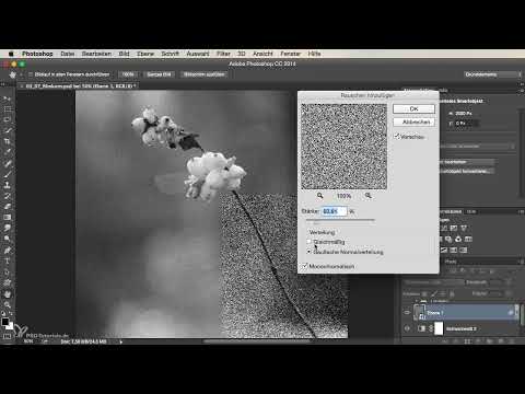 Photoshop ile Görünümler ve Stiller - yapay film taneleri