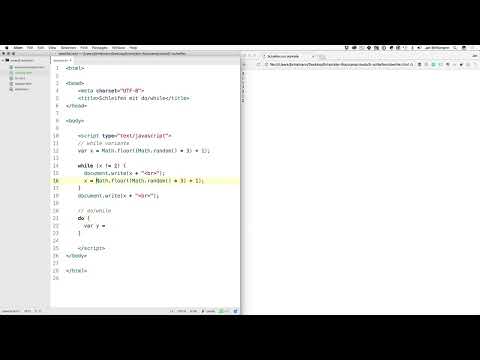 Programmazione software per principianti: 5.5 Cicli con do/while
