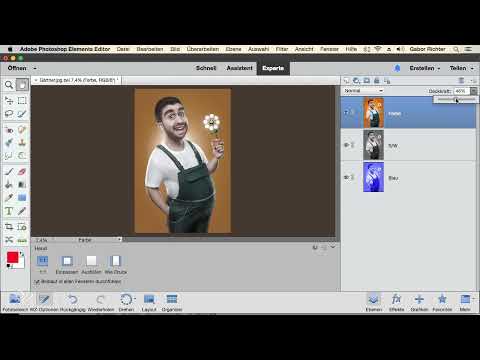 Photoshop Elements: 5.1 | Katman İlkesi