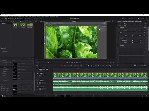 DaVinci Resolve: 7.4 | Sesi manuel ve otomatik olarak ayarlamak