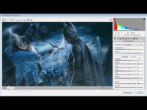 El camino del arte en Photoshop: de la idea a la imagen acabada: creación de detalles y viñetas