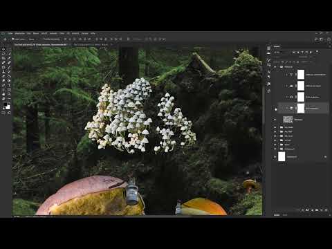 Photoshop'ta bileşim: köyü 5 renge eşitlemek