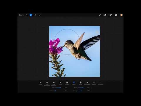 Procreate tutorial - Basics of digital drawing on the iPad: 4.3 | Liquefy