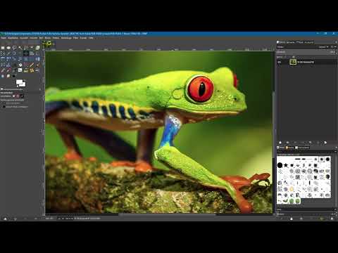 Yeni özellikler GIMP 2.10: 2.14 | Yakınlaştırma aracı