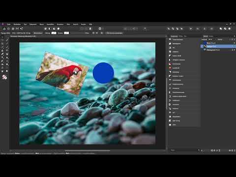 Affinity Photo Nasıl Yapılır - Temeller: 3.2 | Taşıma Aracı