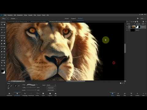 Photoshop Elements ile kapsülleme: 04 | Fırça aracı huzursuz arka planlarda
