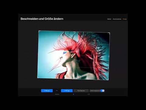 Procreate tutorial - Basics of digital drawing on the iPad: 1.7 | Working with the canvas