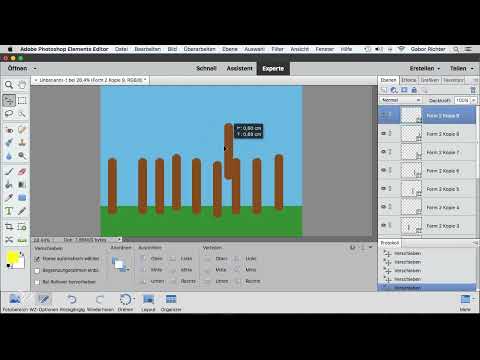 Photoshop Elements: 10.2 | Justere former.