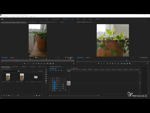 Opdateringer forklaret: Premiere Pro CC 2020 (maj 2020) - Nyheder i detaljer