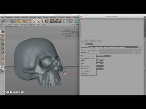 Modéliser dans CINEMA 4D - Entraînement créatif : Partie 13 - Backen